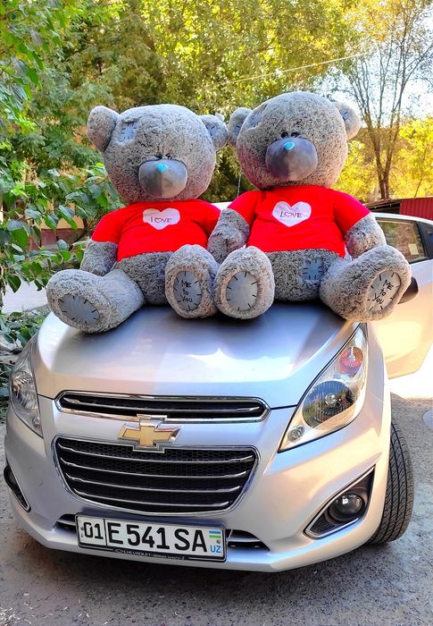 Teddi+ Teddy Panda va Boshqa Yumshoq O'yinchoqlar