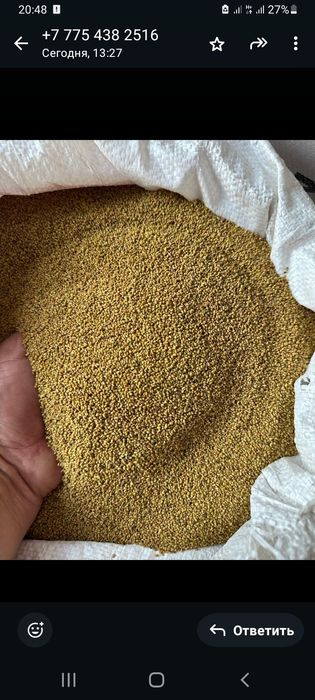 Урык, семена ,клевер жонышка