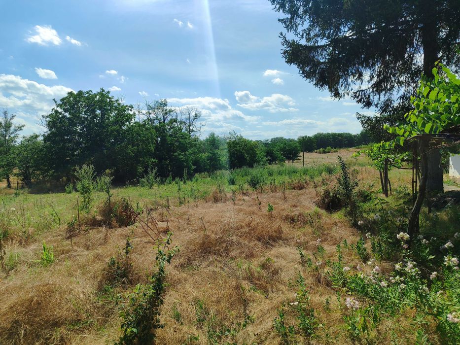 Продава се Къща в с. Къпиново, Област Добрич - 80 кв.м за 49 €/кв.м - Снимка #7