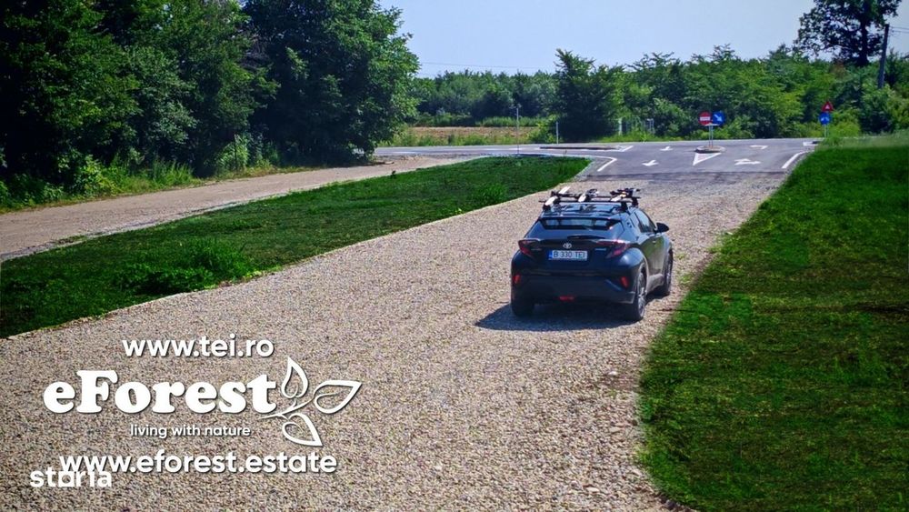 Loturi de teren în eForest, după Buftea, cu acces direct la DN1A