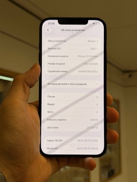 iPhone 12 Pro Max | 256 GB
