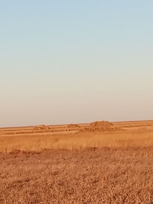Земля сельхоз назначения