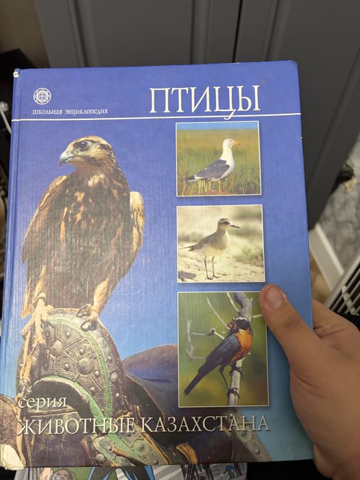 Школьная энциклопедия Птицы