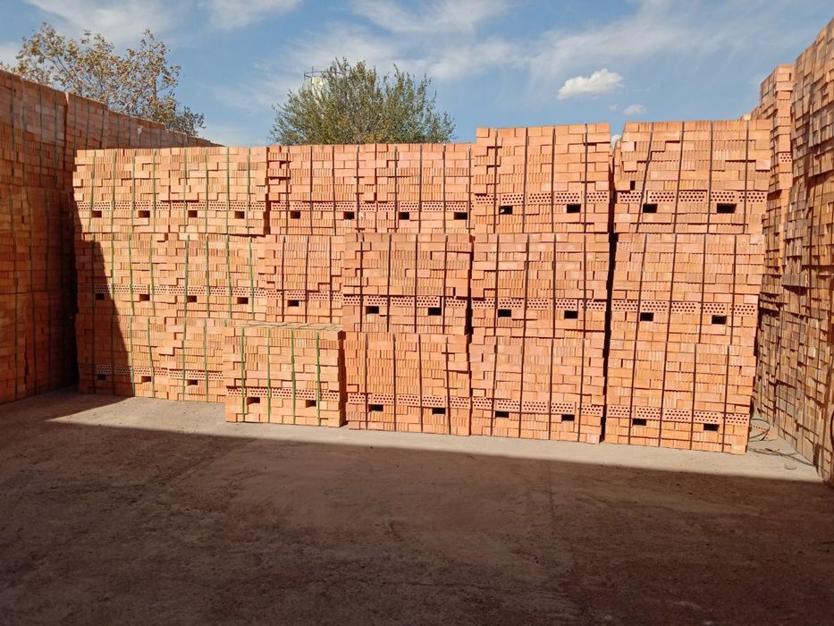 Кирпичи с гарантией долгих лет