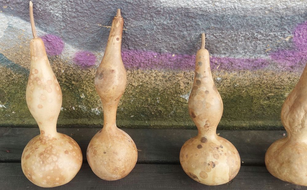 Картунки декоративни