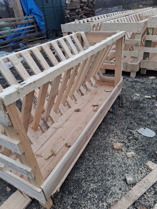 Vând iesili pentru oii