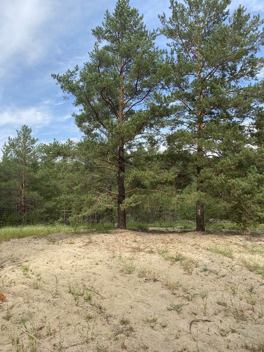 Коммерческий участок