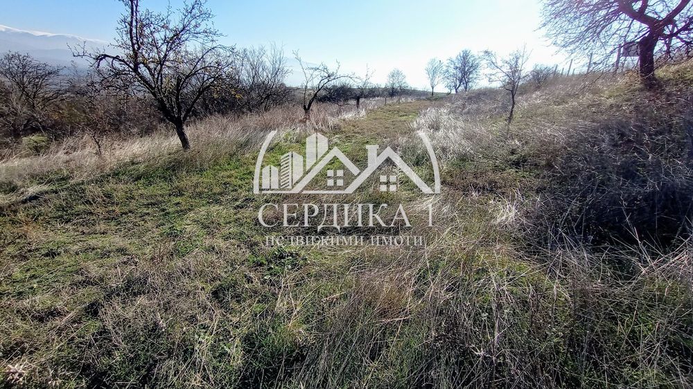 Продава се Парцел в с. Бучино, Област Благоевград - 997 кв.м за 22 €/кв.м - Снимка #6