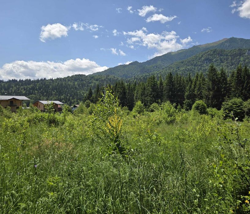 Vand teren Orasul Sinaia
