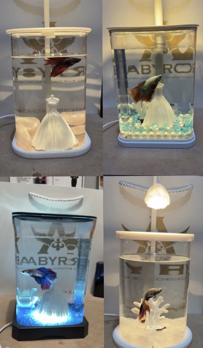 Аквариум – Үйіңізге Әсемдік Қосыңыз!