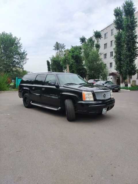 Услуги VIP Катафалк