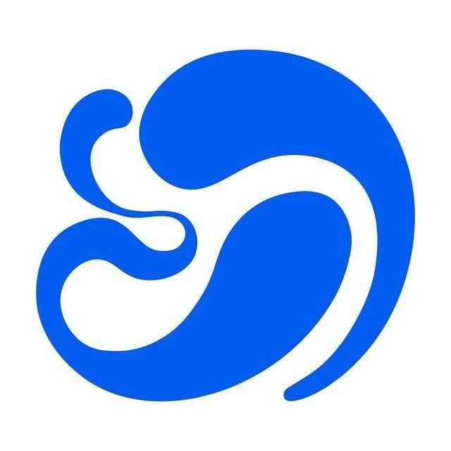 професионал гилам йувиш 100%