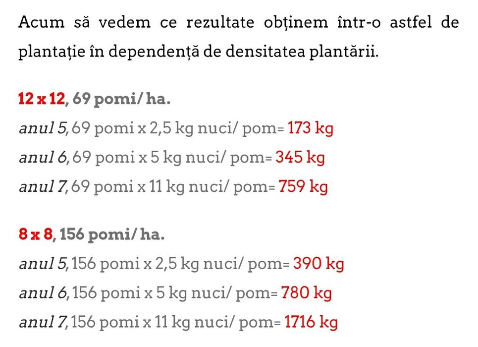 Puiet de nuc ecologic 1,5 m