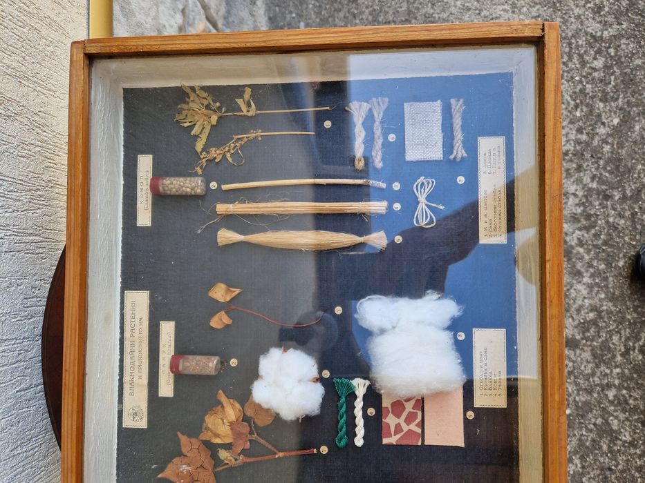 Страхотно антикварно пано - Влакнодайни култури