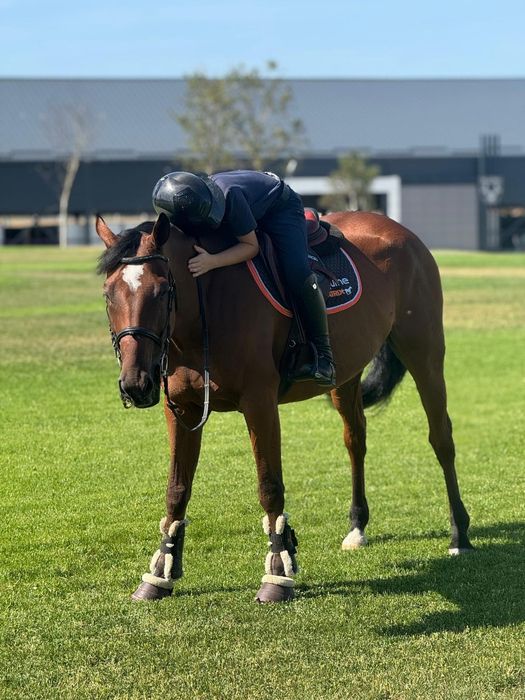 Cal de sarituri pentru copii