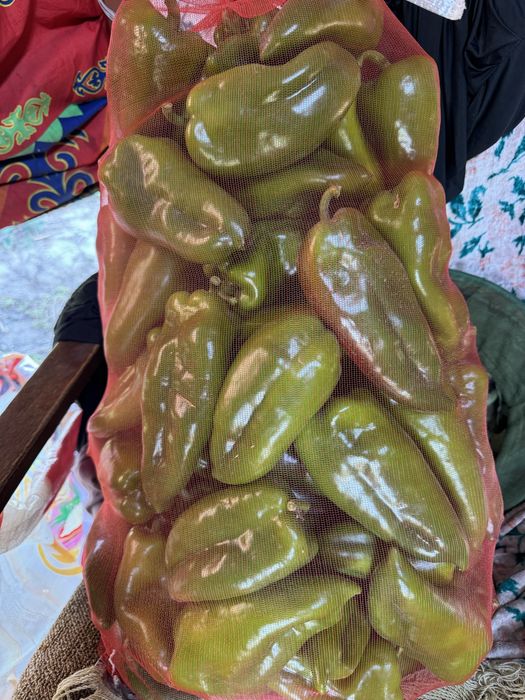 Продам помидор, перец, тыкву