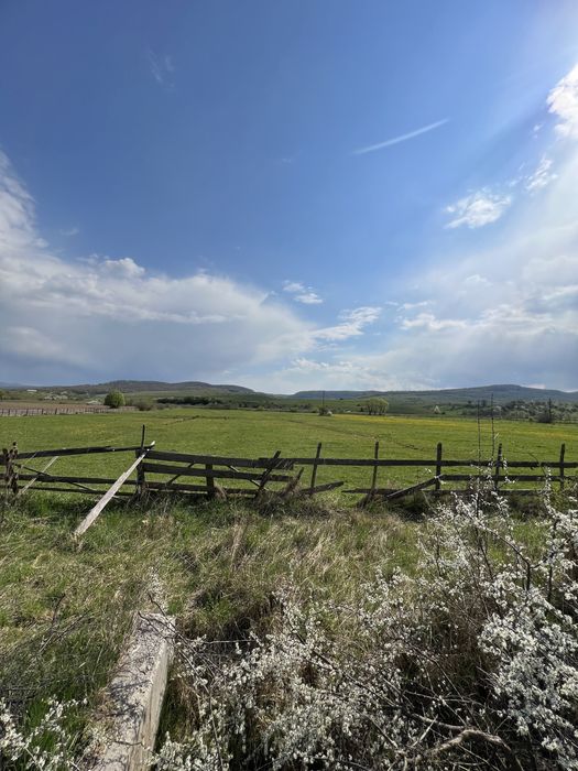 Teren Manastire(Livezile)