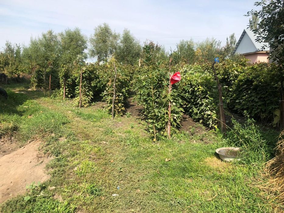 Продаётся дом  в Красном востоке