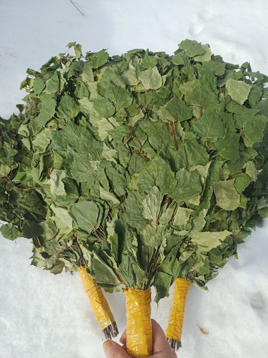 Продам веники,  берёзовые.