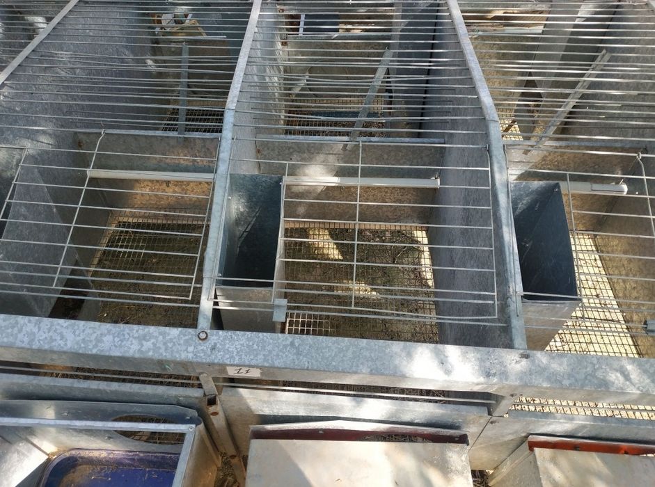 Quyon inlari (клетка для кролика)