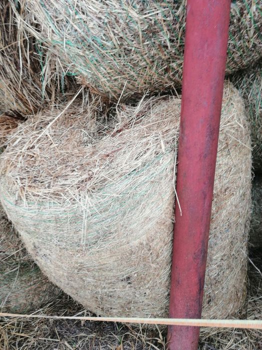 Baloti de lucernă si Fân