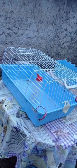 Cușcă iepuraș, folosita un an