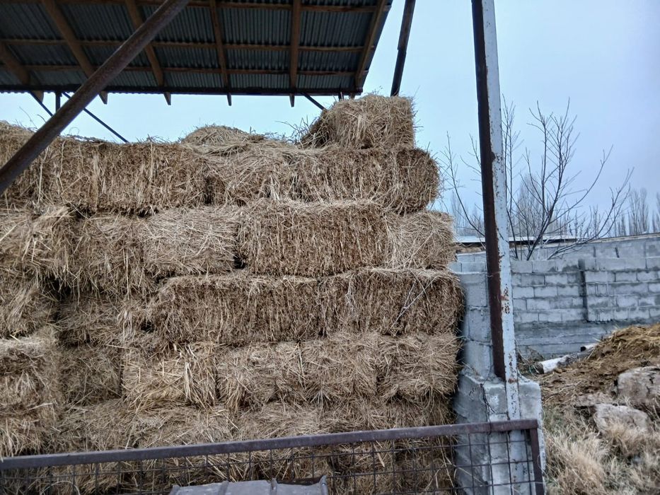 Жонышка сатылады