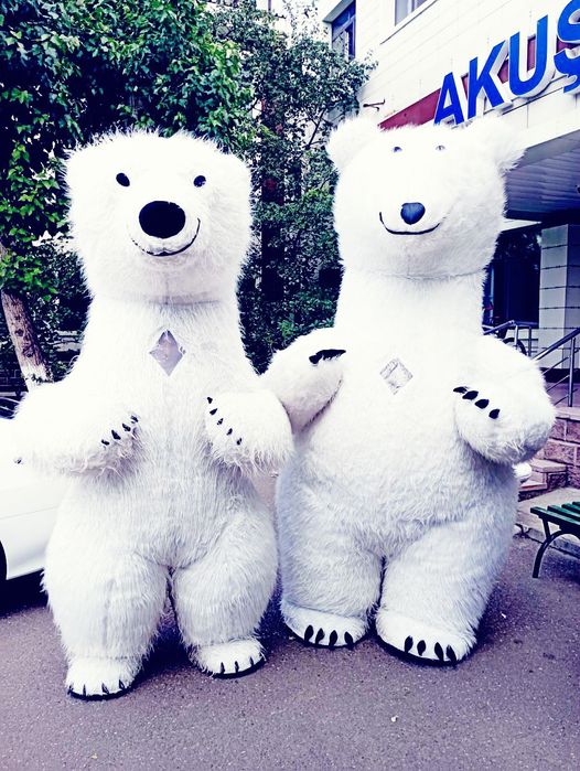 Аниматоры Умка Мишка и, т другие