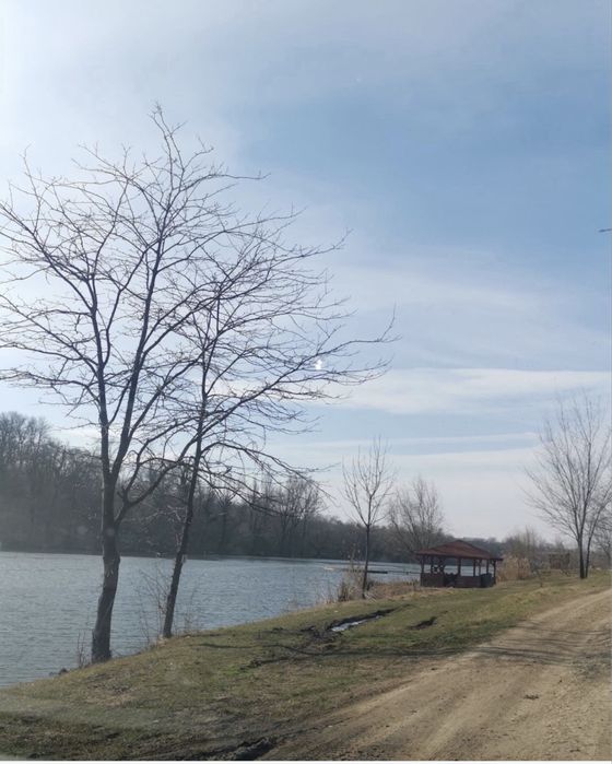 Teren la lac Caciulati Balta palatului