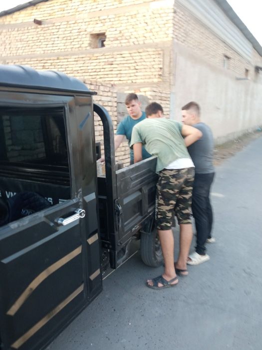 Продаётся муравей