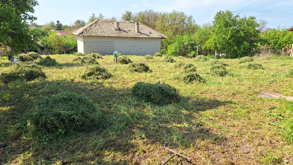 Люцерна           .