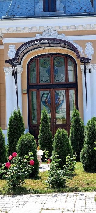 Reconditionez usi, mobila, ferestre.