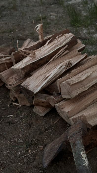 Сухие дрова