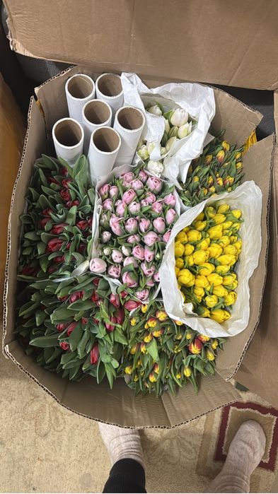 Тюльпаны по 390