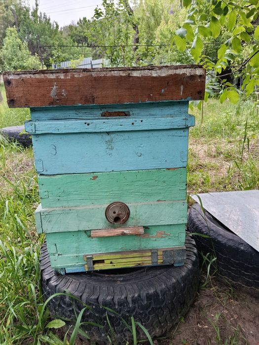Продам улий для пчел