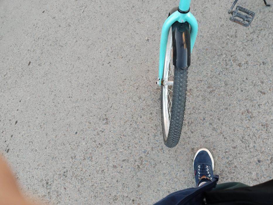 Велик аист  голубой