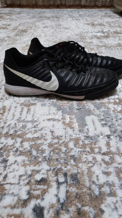 Продам сороконожки 10000