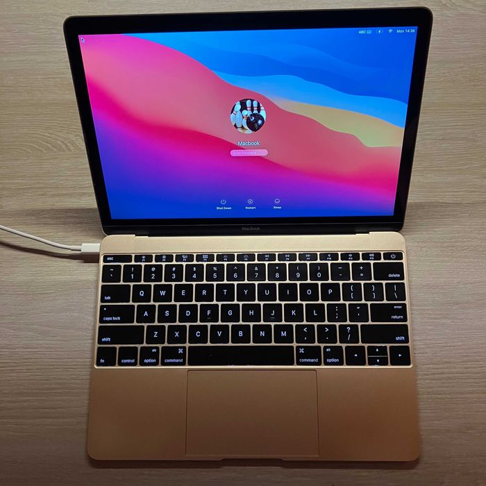 Macbook 12" Retina Gold