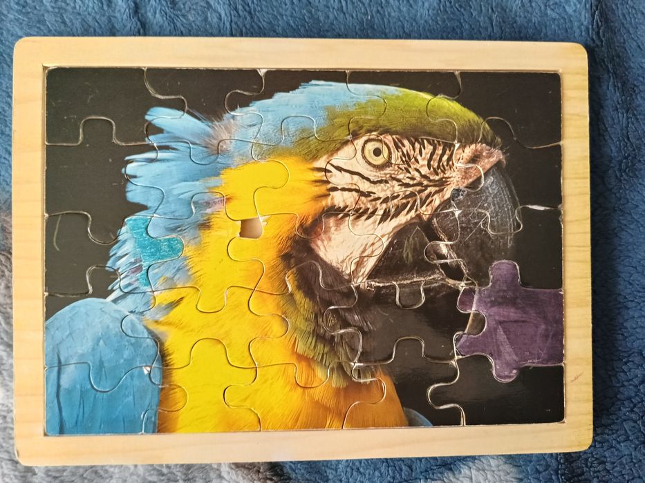 Деревянные пазлы для детей от 3+.