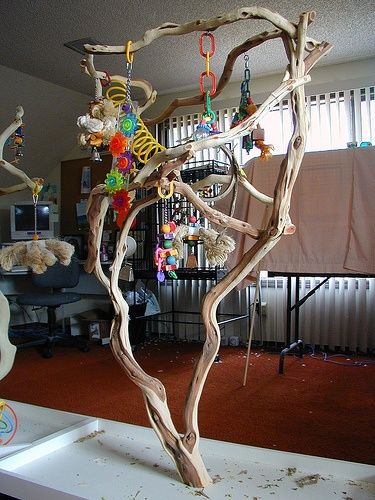 Коряга для попугаев