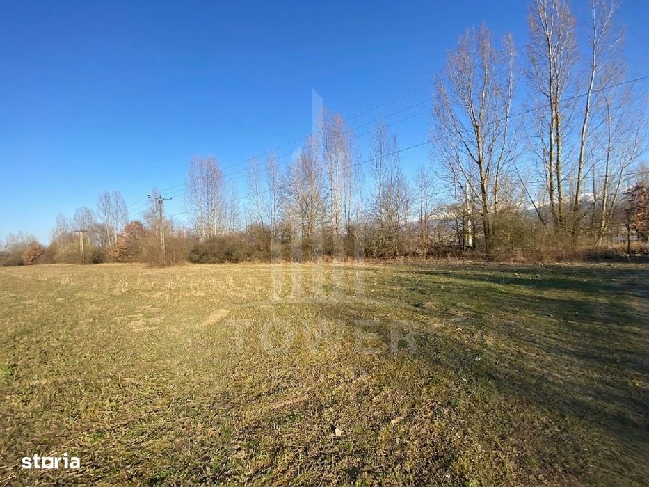 Teren de 7.500 mp de vânzare în Bradu, Avrig-COMISION 0% – lângă râul