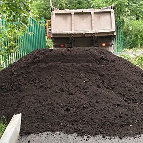 Чернозем Макарова