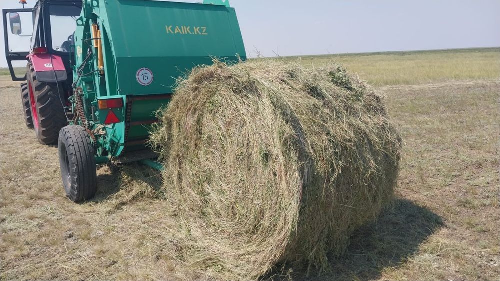 Шөп сатылады пресс145