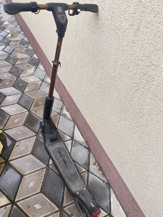 Vand Trotineta Electrica