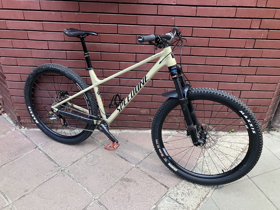 Custom bike 29 boost