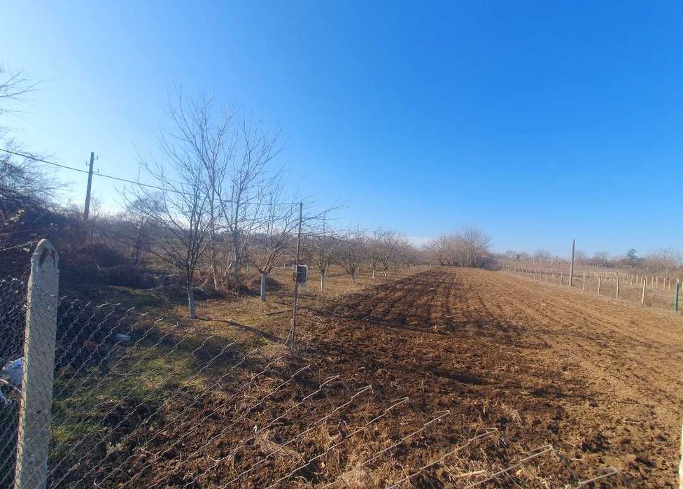 Продава се Парцел в с. Козаревец, Област Велико Търново - 1100 кв.м за 9 €/кв.м - Снимка #1