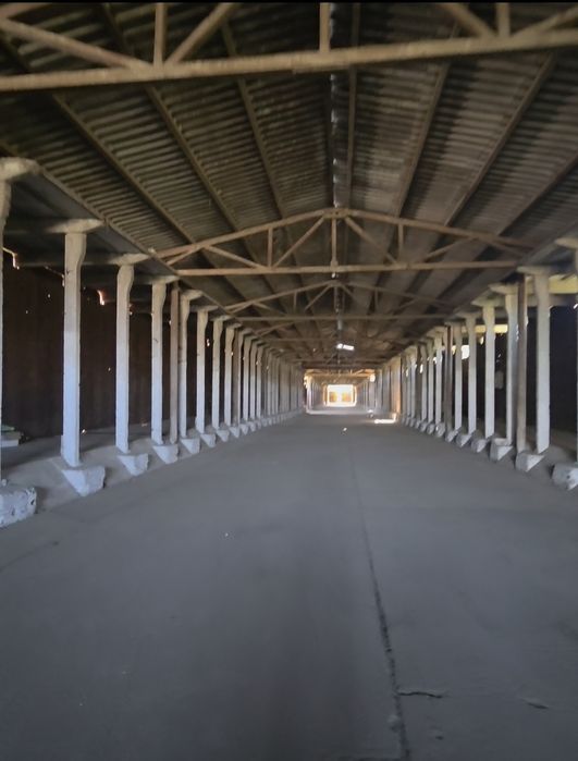 Inchiriez HALA 1545 mp DRĂGĂŞANI - acces 2 strazi