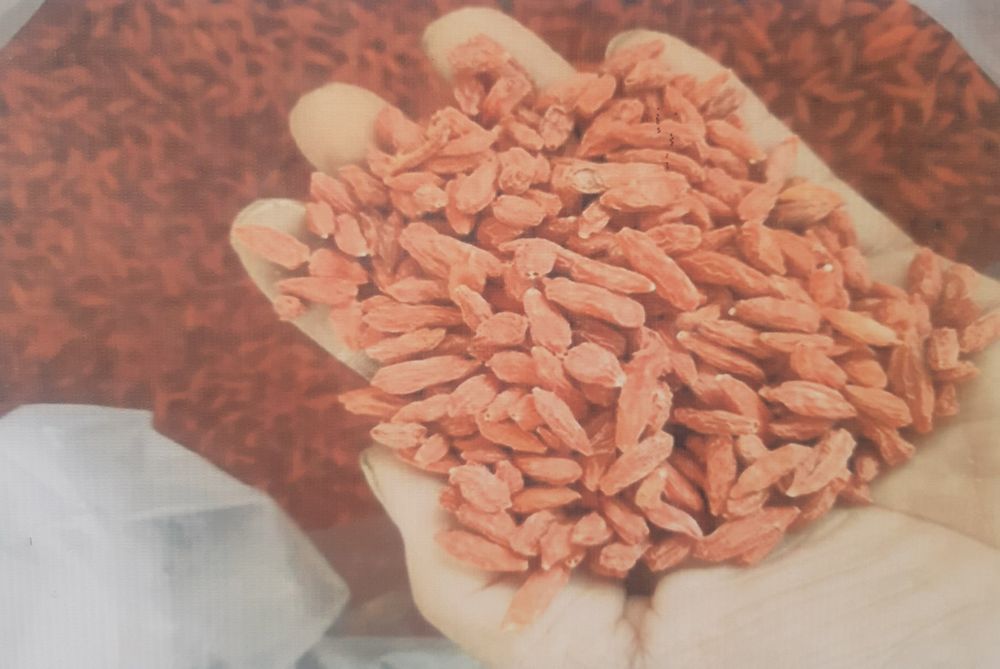 Noyob turdagi kuchatlar sotiladi Chet eldan kelgan kuchatlar ham bor.