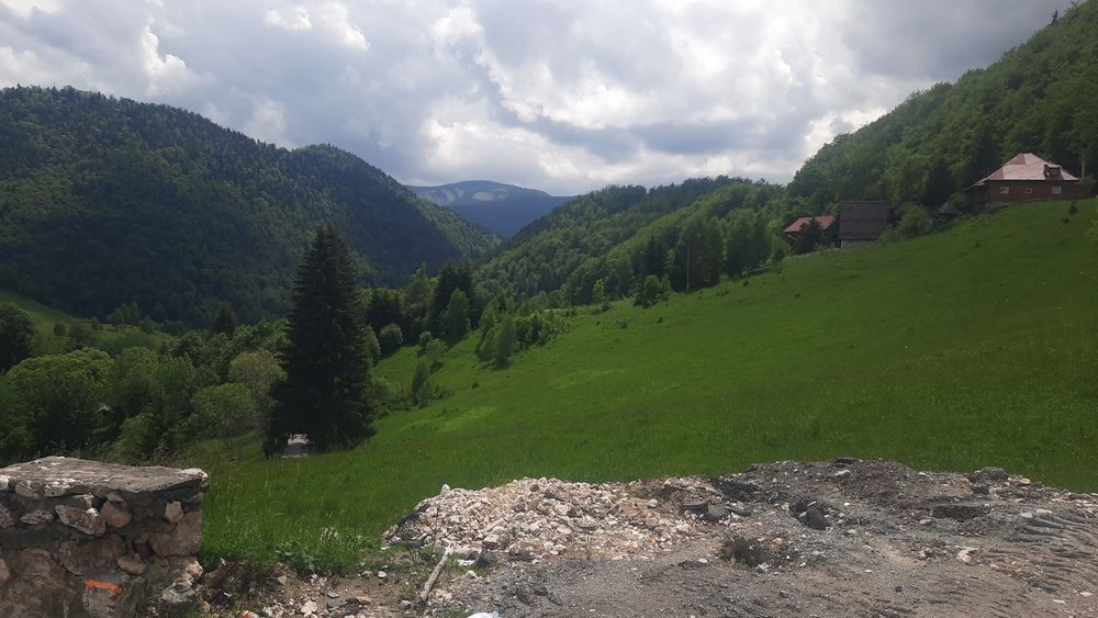 Teren frumos Dambovicioara Valea Urdii