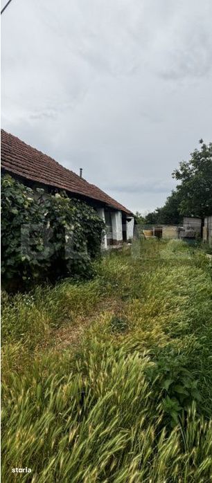 Teren 22ari in Martinesti